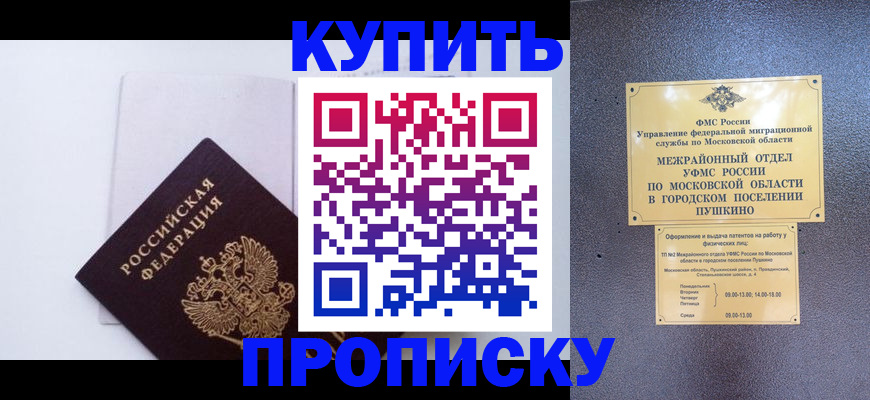 найти адрес прописки в Могочи